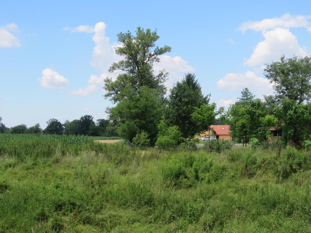 Mill House Apartment And Camping Ljutomer Exterior photo